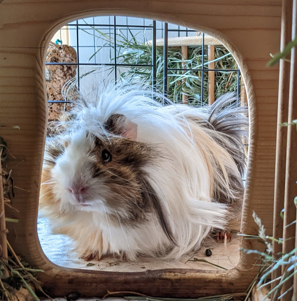 Flecky welcomes NetworkManager Flecky welcomes NetworkManager